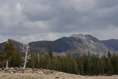 DSC_2985 (Large).JPG